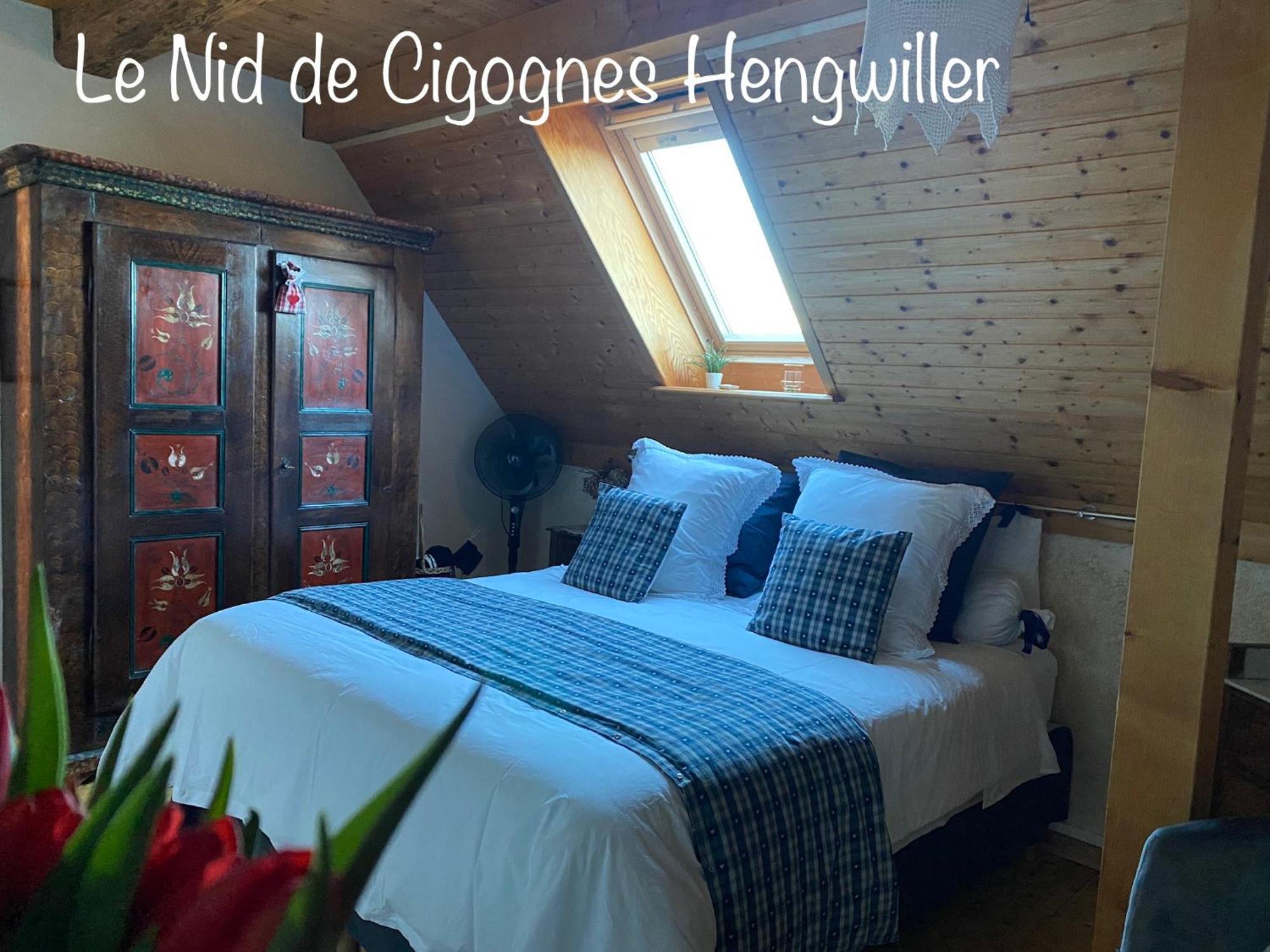 Hengwiller Le Nid De Cigognes酒店 外观 照片